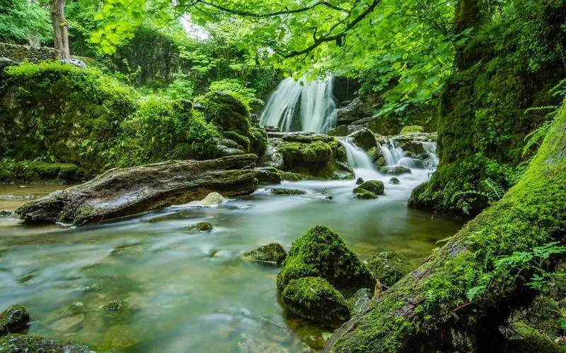 高质量高标准高标准